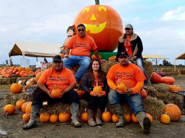 The Pumpkin Gang