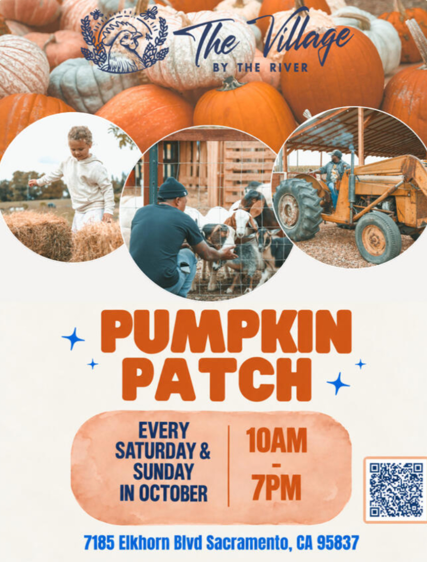 The Village by the River Pumpkin Patch
